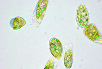 �~�h�����V,���\